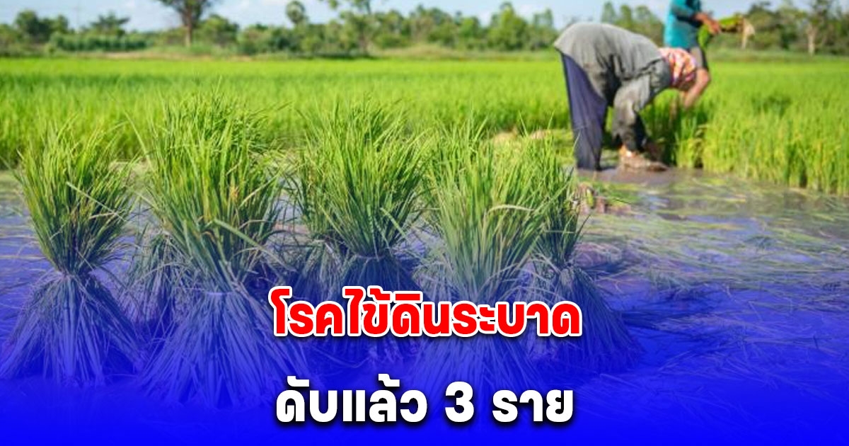 เตือนด่วน! เกษตรกร โรคไข้ดินระบาด ดับแล้ว 3 ราย