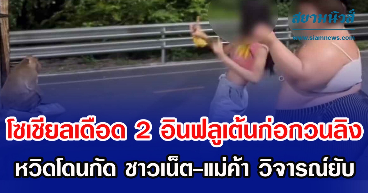 โซเชียลเดือด 2 อินฟลูเต้นก่อกวนลิง หวิดโดนกัด ชาวเน็ต-แม่ค้า วิจารณ์ยับ