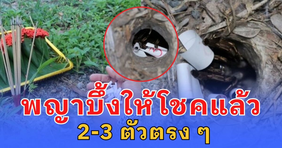 ชาวบ้าน ฮือฮา พญาบึ้งให้โชคแล้ว 2-3 ตัวตรง ๆ