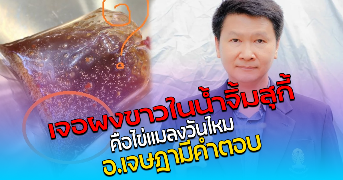 เจอผงขาวในน้ำจิ้มสุกี้ คือไข่แมลงวันไหม อ.เจษฎา มีคำตอบ