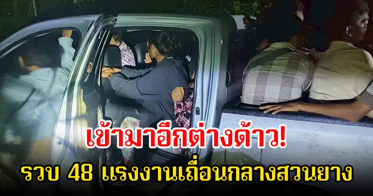 มาอีกต่างด้าว! เจ้าหน้าที่รวบ 48 แรงงานเถื่อนกลางสวนยาง คนขับอาศัยความมืดหลบหนี