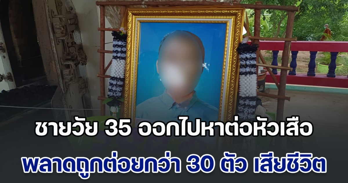 อุทาหรณ์! ชายวัย 35 ออกไปหาต่อหัวเสือ พลาดถูกต่อยกว่า 30 ตัว ตกต้นไม้เสียชีวิต