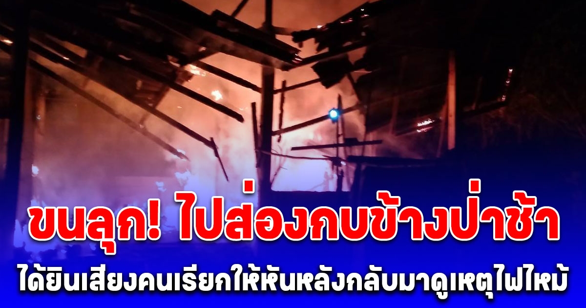 ขนลุก! ไปส่องกบข้างป่าช้า ได้ยินเสียงคนเรียกให้หันหลังกลับมาดูเหตุไฟไหม้บ้าน เชื่อผีป่าช้าบอกแจ้งเหตุ