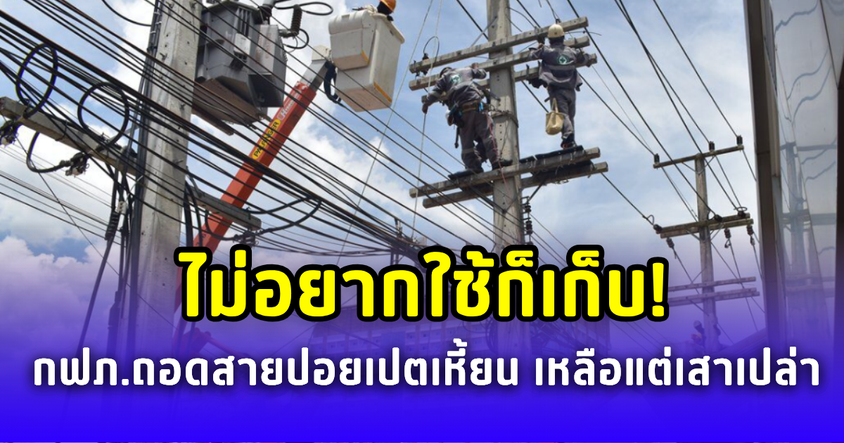 ไม่อยากใช้ก็เก็บ! กฟภ.ตัดสาย-ถอดอุปกรณ์ไฟฟ้าไปปอยเปตเหี้ยนเรียบ เหลือแต่เสาเปล่า