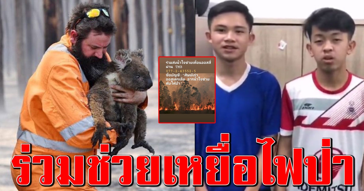ศิษย์เก่าออสเตรเลีย ชวนบริจาคช่วยเหยื่อไฟป่า ทีมหมูป่าร่วมด้วย ตอบแทนคุณ