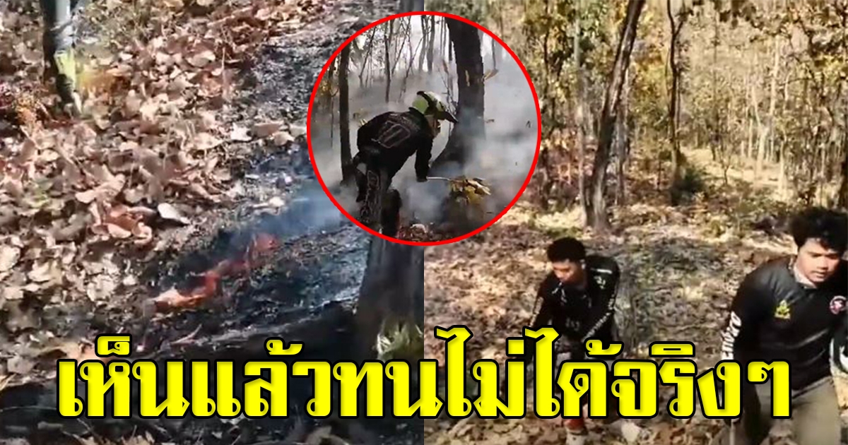 กลุ่มคนขับรถวิบากเข้าไปในป่า เจอเหตุเพลิงไหม้ ก่อนทิ้งรถวิ่งเข้าไปทันที