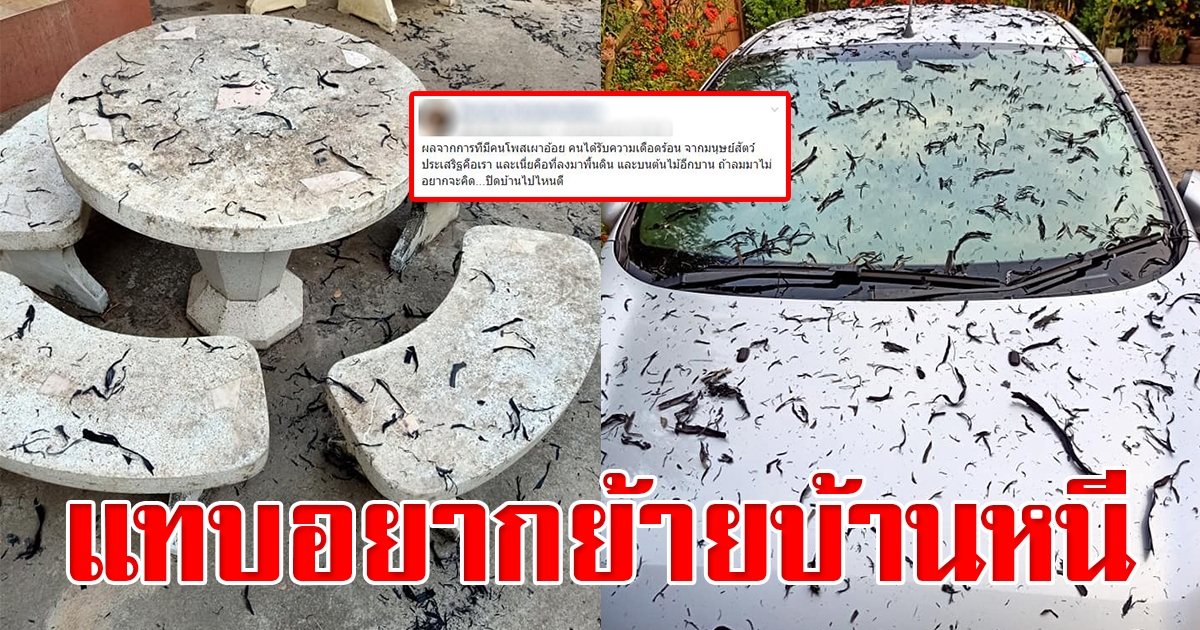 หิมะดำตกอ่วม ชาวบ้านรับผลกระทบหนัก ทั้งบ้านเรือนและสุขภาพ