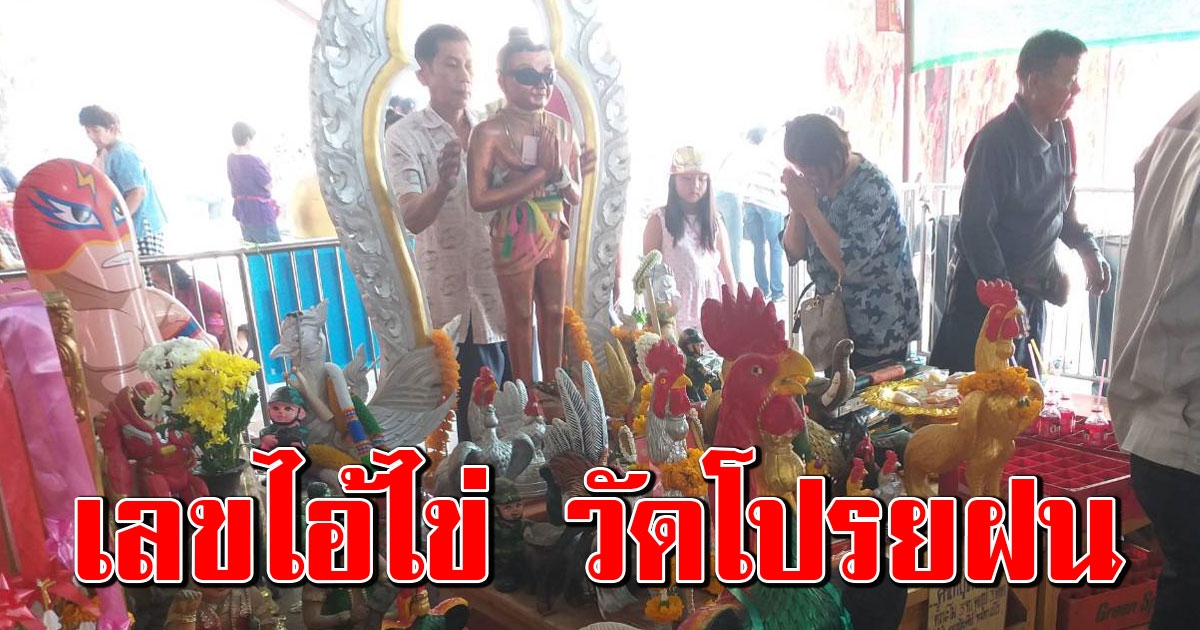 ขอโชค ไอ้ไข่ วัดโปรยฝน หลังให้มาแล้วหลายงวด