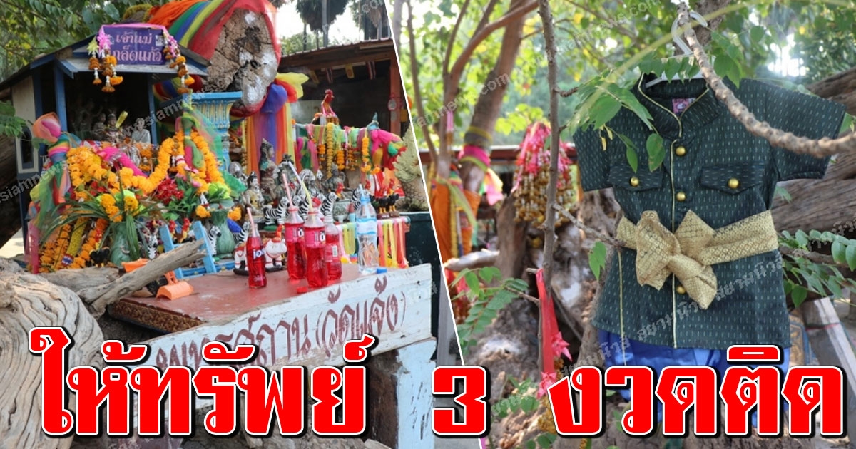 รับทรัพย์ 3 งวดติด โคนต้นโพธิ์วัดอาถรรพ์ กลางถนน ชาวบ้านเผยเรื่องขนลุก