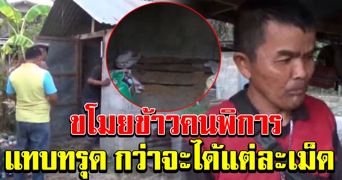 โจรใจบาป ขโมยข้าวคนพิการ ถึงกับทรุด ทำเหนื่อยแทบตาย แล้วจะเอาข้าวไหนกิน