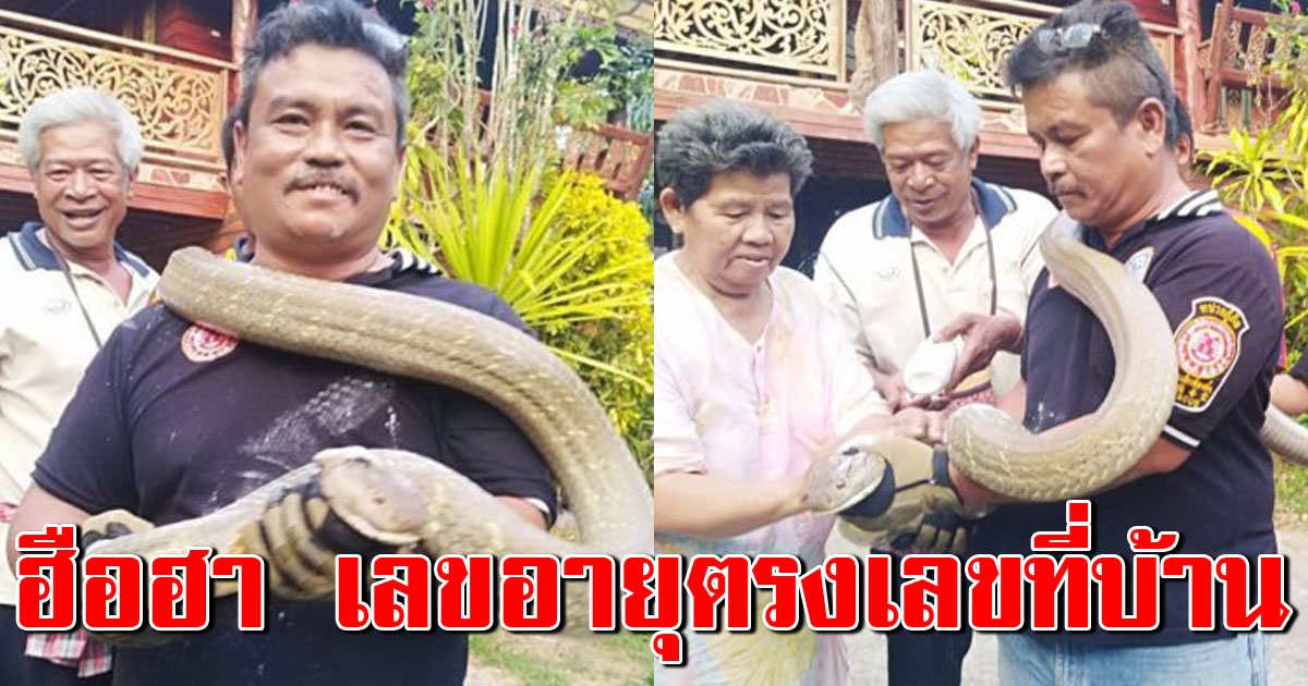 ยายเข่าอ่อนยกมือไหว้ หลังเจอพญาบองหลายักษ์ เลื้อยเข้าบ้าน