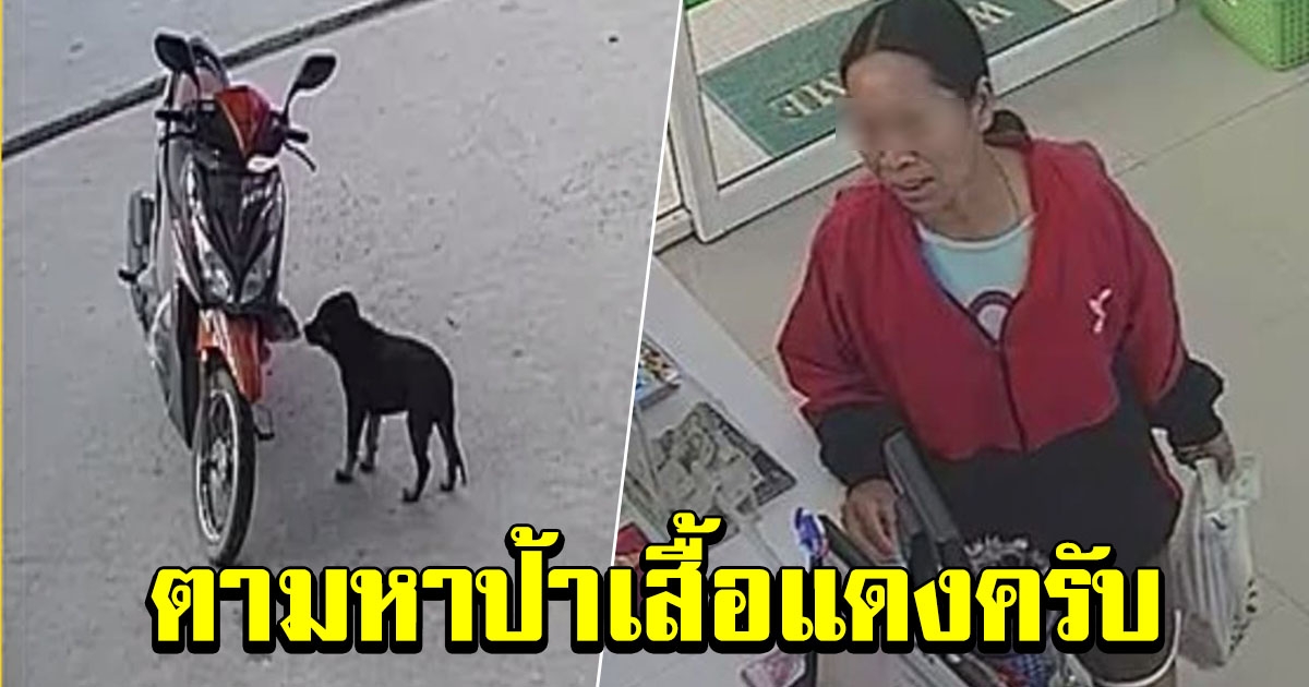 หนุ่มประกาศตามหา ป้าเสื้อแดง ให้มารับเงินค่าขาหมู