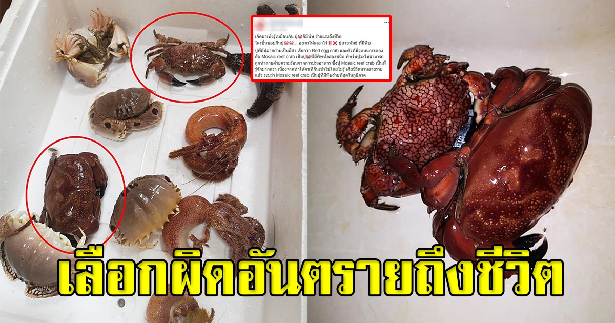 ซื้ออาหารทะเลฉลองตรุษจีน สุดท้ายเกือบดับยกครัว