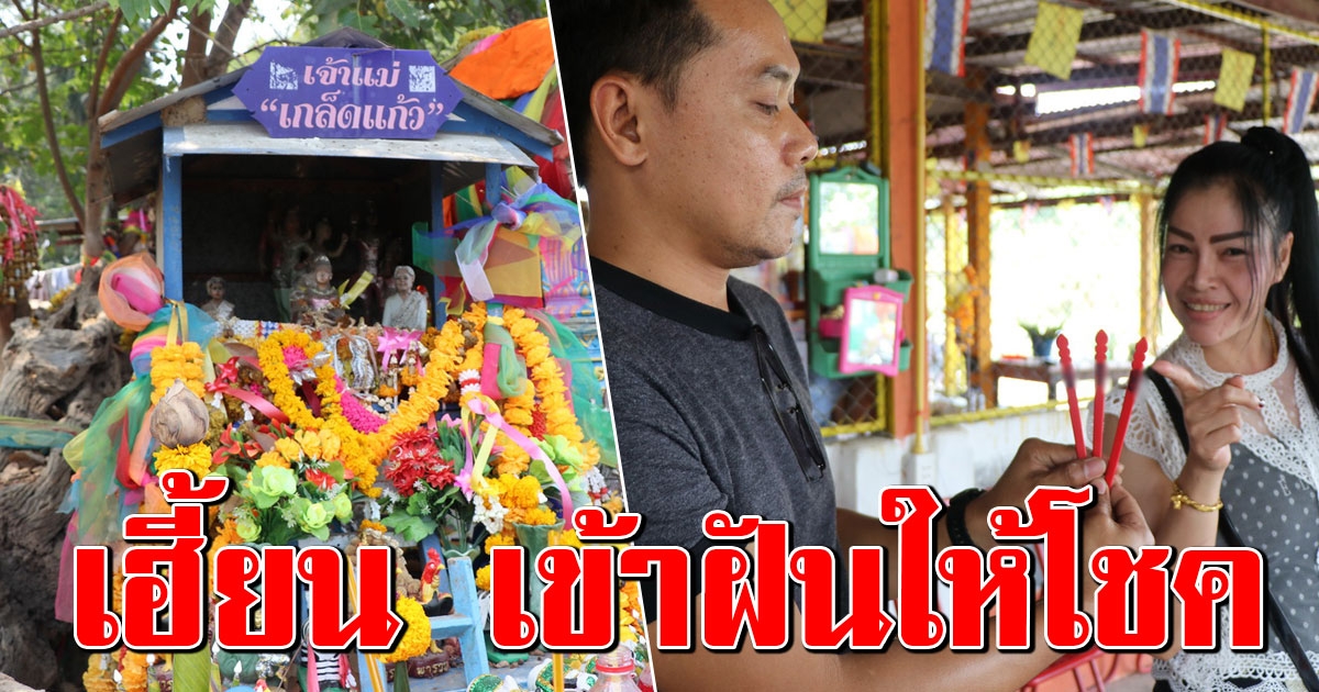 เจ้าแม่เกล็ดแก้วเฮี้ยน เข้าฝันหนุ่มวัย 41 บอกโชคที่โคนต้นโพธิ์อาถรรพ์