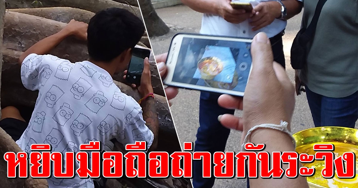 มาแล้ว เลขคำชะโนด รากมะเดื่อยักษ์ ขันน้ำมนต์ โผล่เห็นชัด 2 ตัวตรง