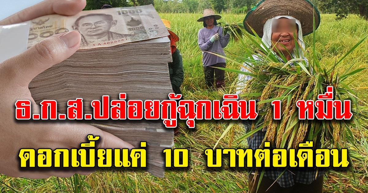 ธ ก ส ปล่อยสินเชื่อฉุกเฉินให้เกษตรกรรายละ 10000 ดอกเบี้ยแค่ 10 บาทต่อเดือน