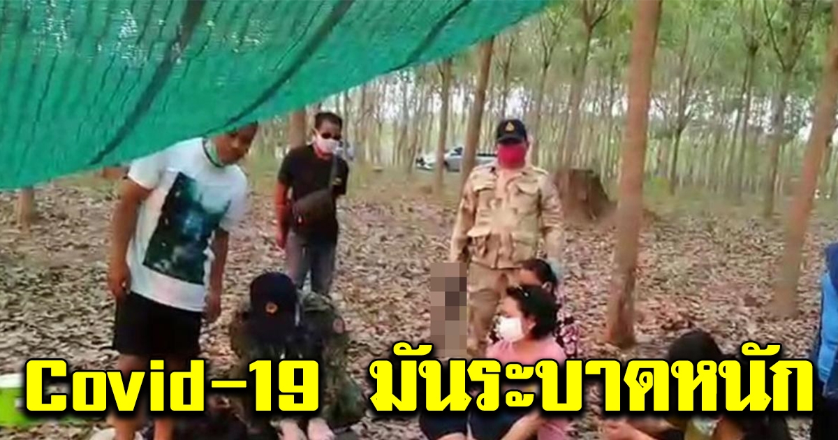 เจ้าหน้าที่ผิดสังเกต ชาวบ้านไปรวมตัวในสวนยาง มีสแลนเขียวขึงอย่างดี