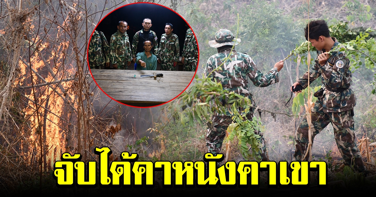 จนท จับมือเผาป่าได้คาหนังคาเขา ในเขตอุทยานแห่งชาติ เขื่อนศรีนครินทร์