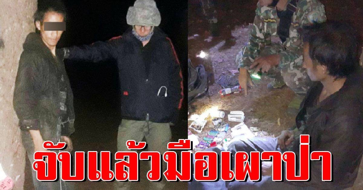 จับคาป่า หนุ่มจอมทอง ไม่สนกฎหมาย ลักลอบเผาป่า ดอยอินทนนท์