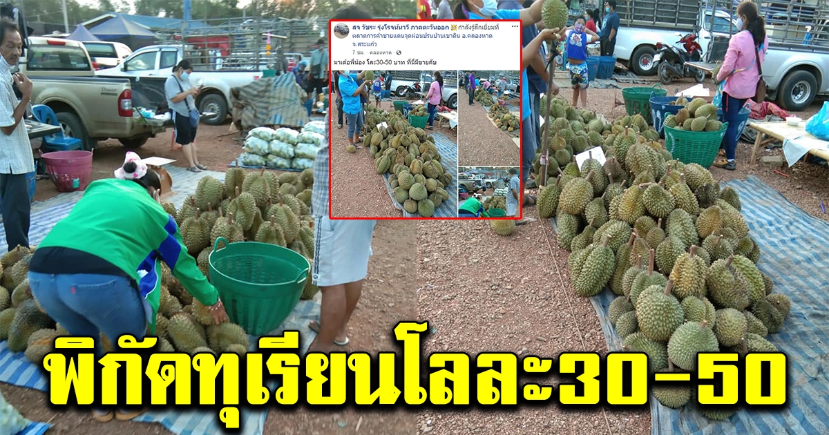 พิกัดทุเรียนราคาถูก โลละ 30