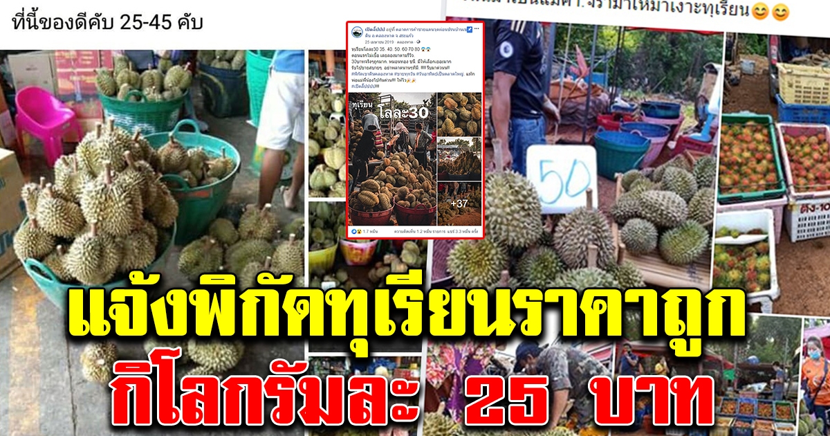 แจ้งพิกัด ทุเรียน กิโลกรัมลະ 25-45
