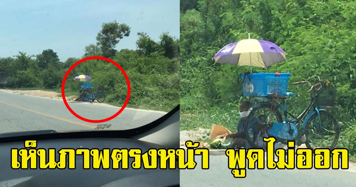 หนุ่มตั้งใจกดเงิน จะไปเหมาผักป้า ขายกลางแดดเปรี้ยง