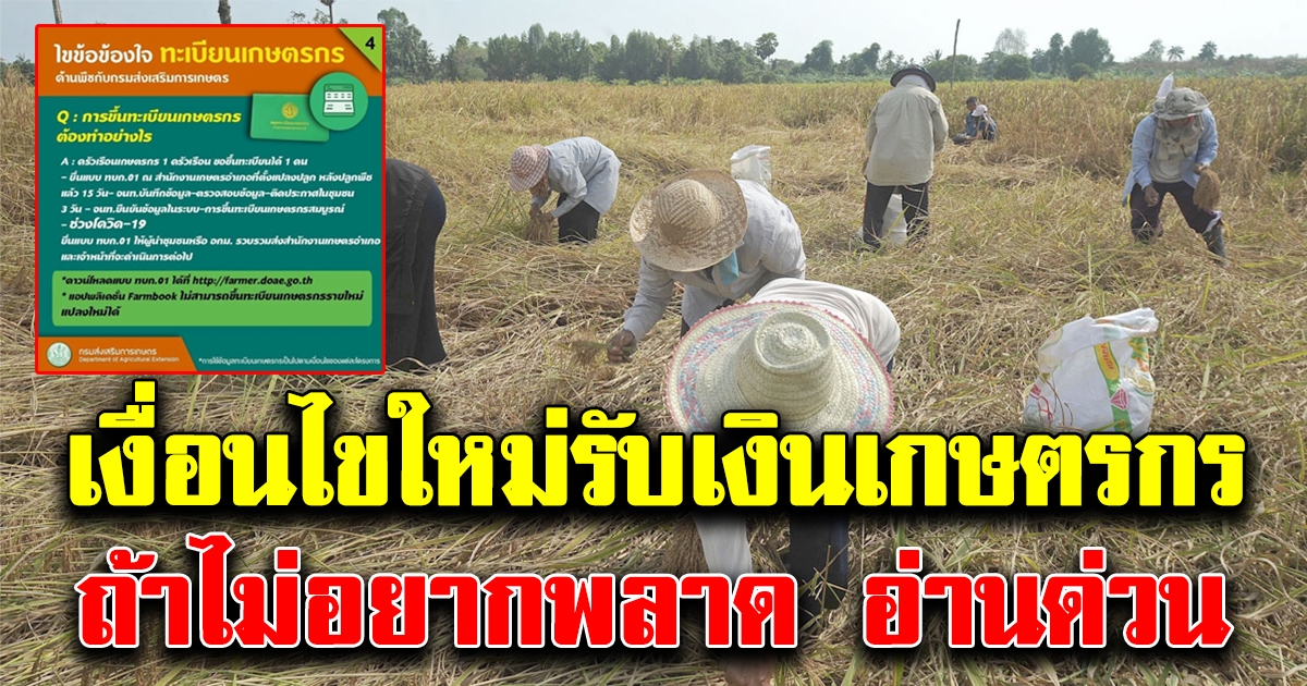 เงื่อนไขใหม่ล่าสุด รับเงินเกษตรกร 15000 ถ้าไม่อยากพลาด ทำตามด่วน
