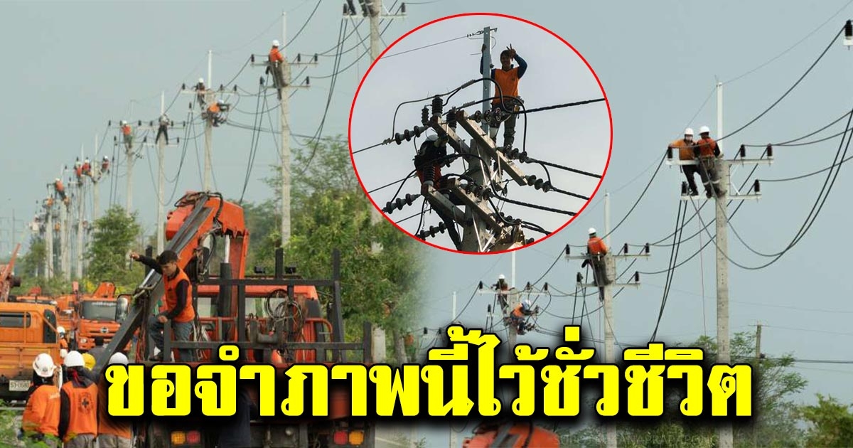 สาวเห็นคนอยู่บนเสาไฟฟ้า เต็มทุกต้น