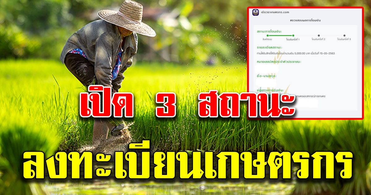 ความหมายของ 3 สถานะ ลงทะเบียนเกษตรกร