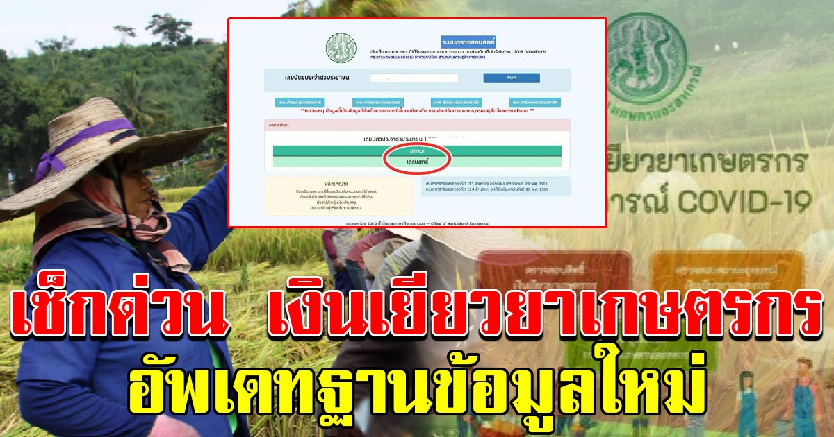 เช็กเลย เงินช่วยเหลือเกษตรกร ปรับปรุงระบบเสร็จ อัพเดทฐานข้อมูลใหม่