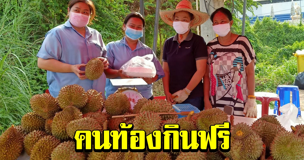 แม่ค้าทุเรียนใจป้ำ ให้คนท้องกินฟรี