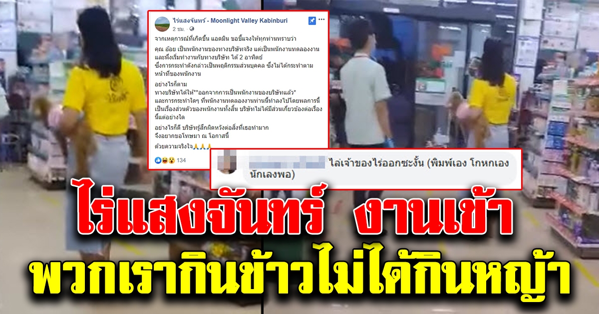 ไร่แสงจันทร์ งานเข้า หลังไล่มนุษย์ป้าอุ้มสุนัขเข้าเซเว่น ออกจากงาน