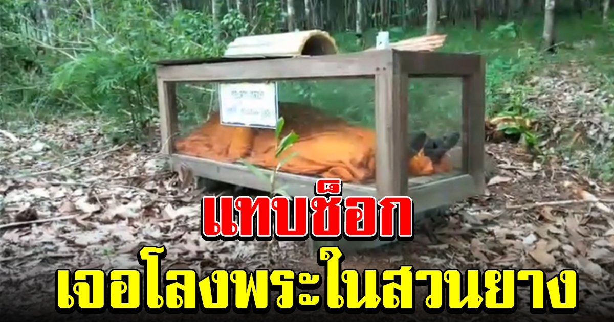 หนุ่มแทบช็อก เจอโลงพระอยู่ในสวนยาง