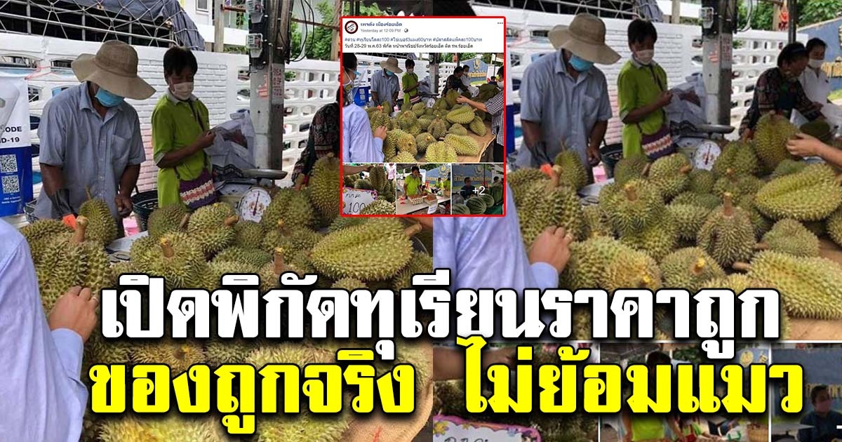 พิกัดทุเรียนถูก มีคุณภาพเชื่อถือได้ ผู้คนเเห่ไปอุดหนุนกันเพียบ