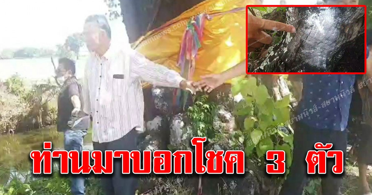 ชาวบ้านแห่ขอเลขเจ้าแม่ตะเคียนทอง คู่ อายุกว่า 500 ปี 1 เดียวพะเยา