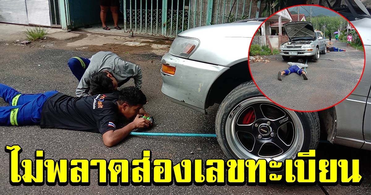 เจ้าของเก๋ง โร่แจ้ง จนท งูทางมะพร้าวซุกในรถ