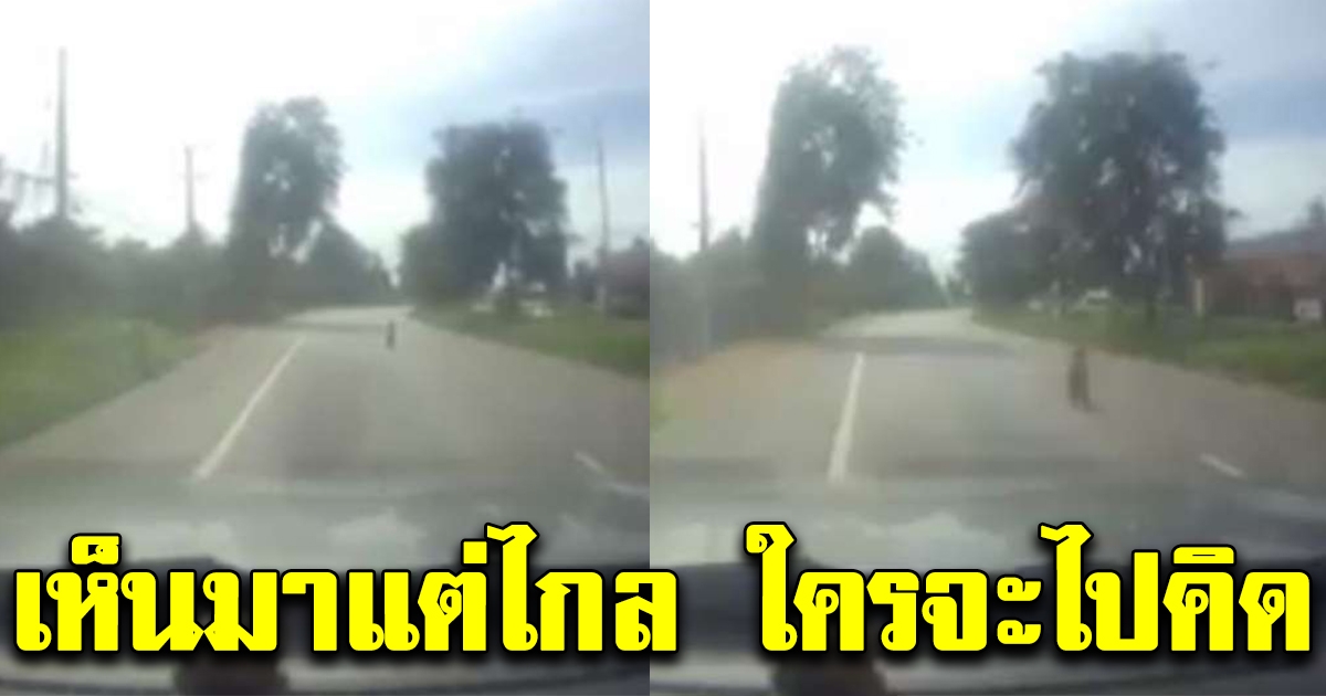 หนุ่มใหญ่ตะโกนลั่นรถ รีบจอดกลางถนน อุ้มไปหลบไว้ข้างทาง