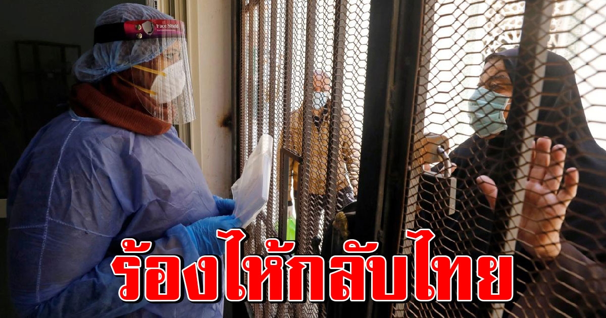 คนไทยในอียิปต์ ติดโควิด 38 ราย หมอให้แต่ยาพาราฯกิน ชีวิตสุดลำบาก อยากกลับบ้าน