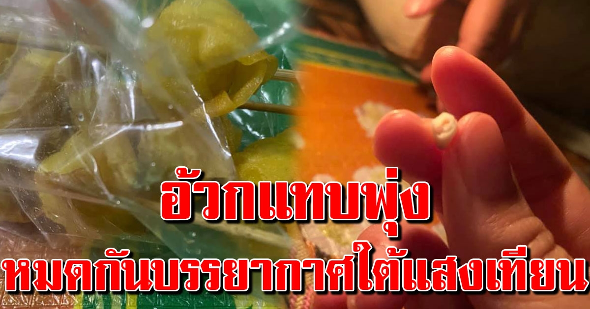 แม่ซื้อเกี้ยวทอดมาจากตลาด สาวคิดว่าจะได้นั่งกินใต้แสงเทียนอย่างอร่อย