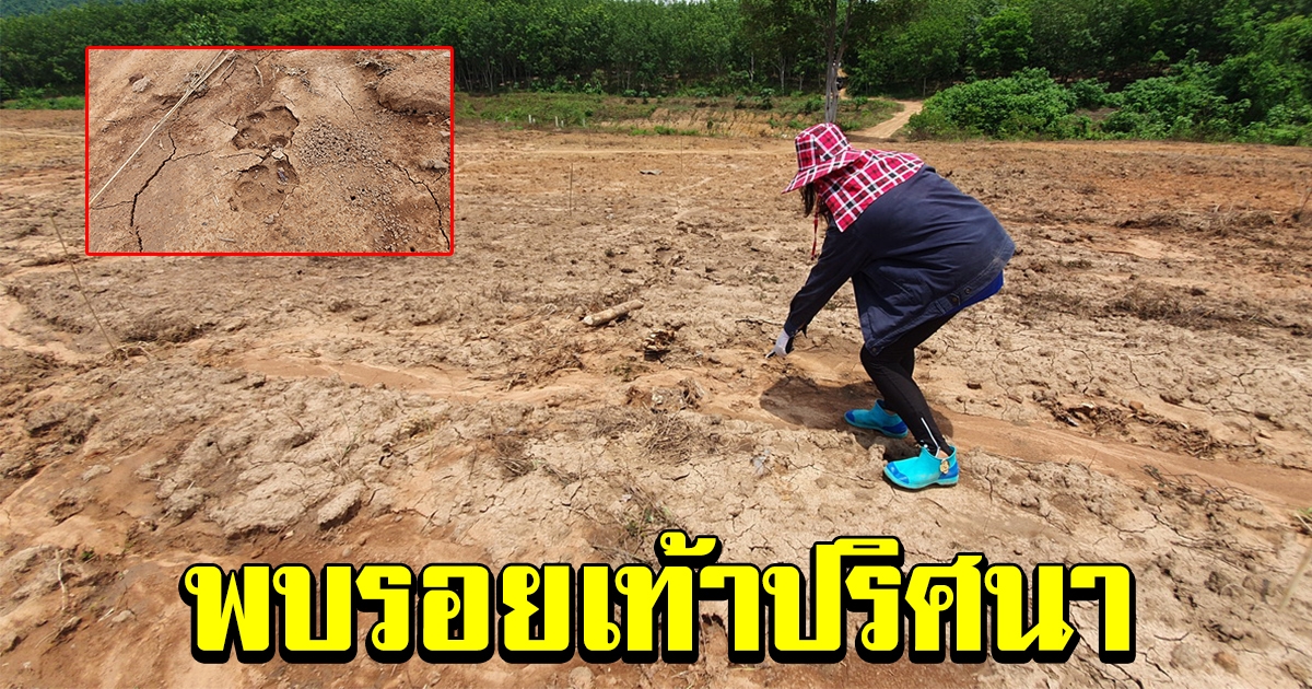 พบรอยเท้าปริศนา มีขาเดียว ชาวบ้านเชื่อเป็นผีโป่ง