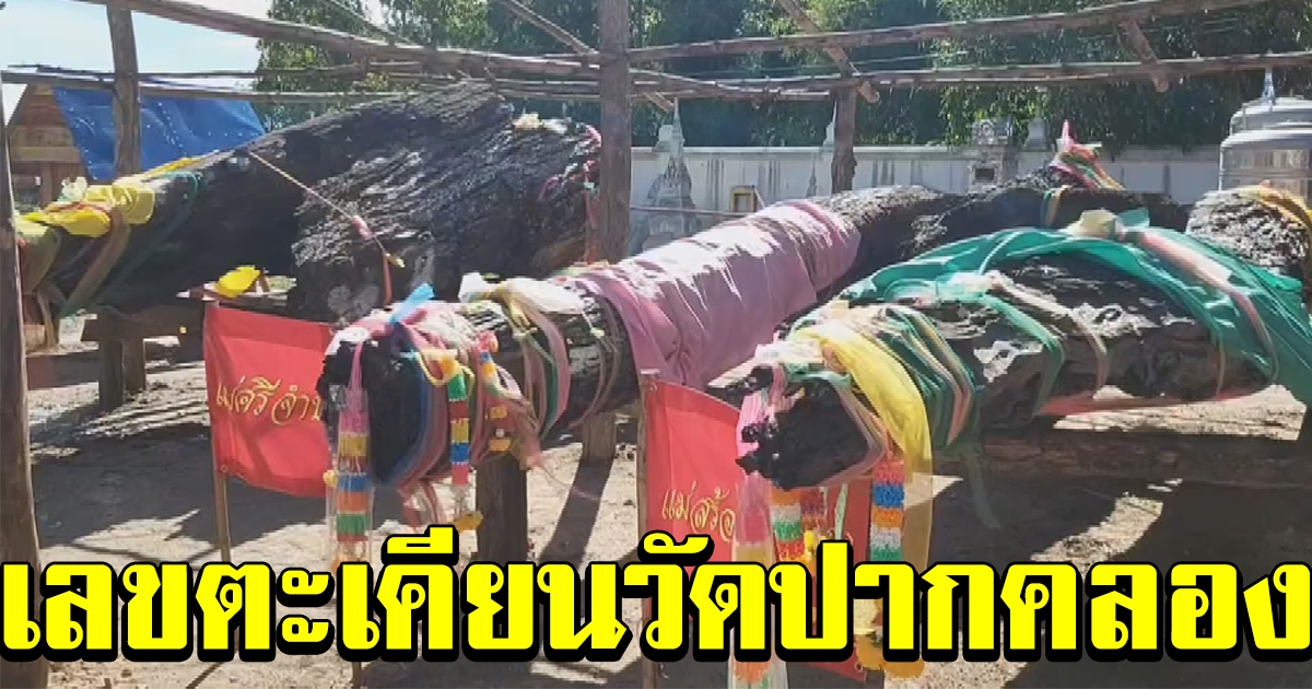 ผู้คนคนแห่ขอเลข ตะเคียน วัดปากคลอง