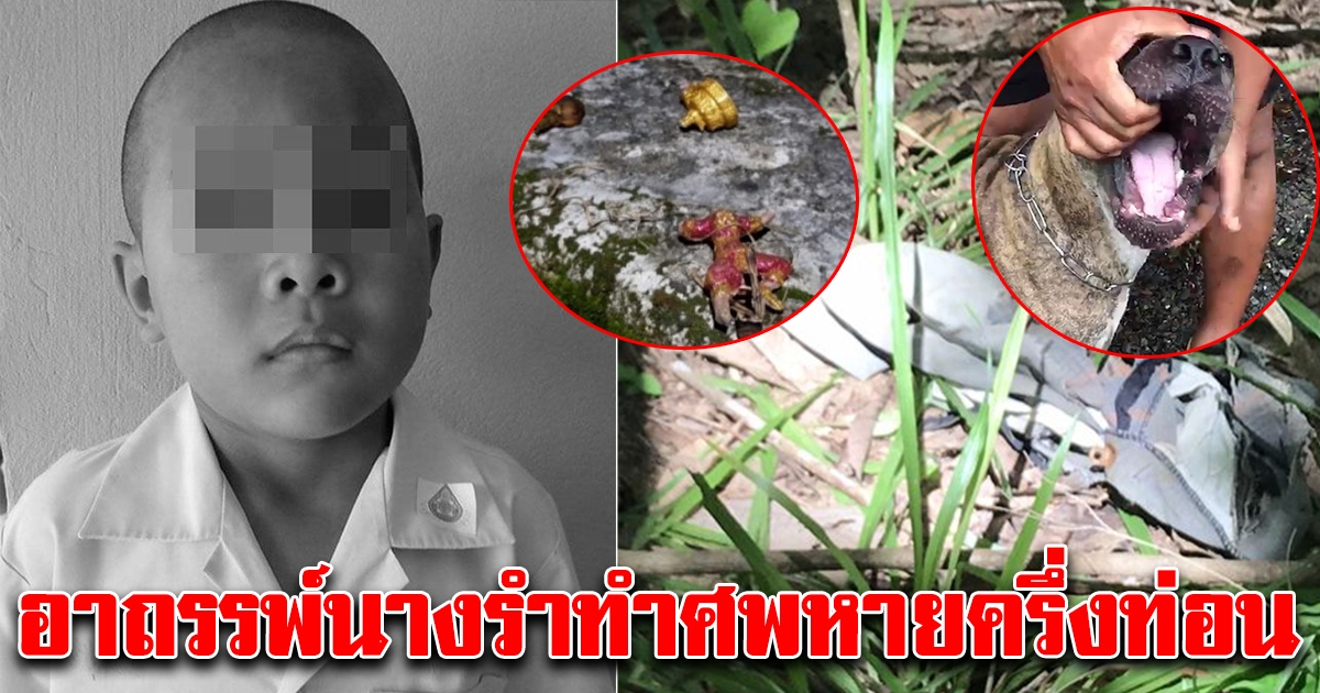 เปิดรอยเขี้ยวสุนัข ทำน้องกานต์เหลือครึ่งท่อน ญาติผวาอาถรรพ์นางรำ