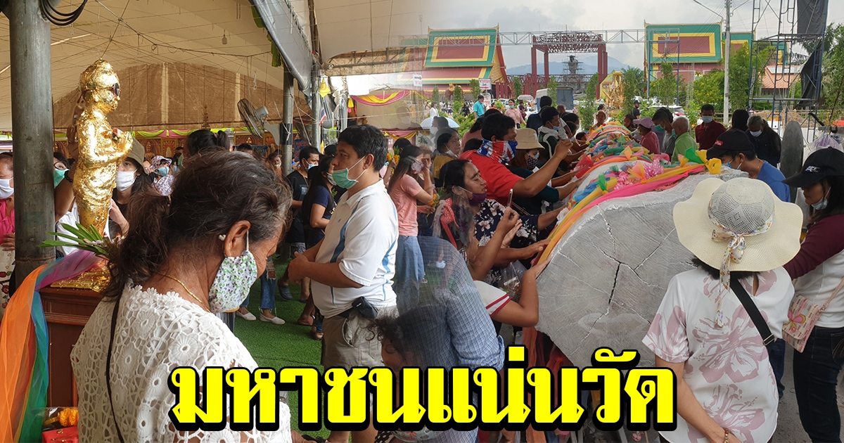 มหาชนเรือนแสน แห่กราบไหว้ขอพร ไอ้ไข่วัดเจดีย์