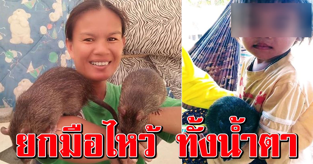 พ่อ-แม่น้องชมพู่ ออกมาพูดแล้ว หลังถูกกล่าวหาพลั้งมือตีลูก เรื่องหนูนาตัวละหมื่น