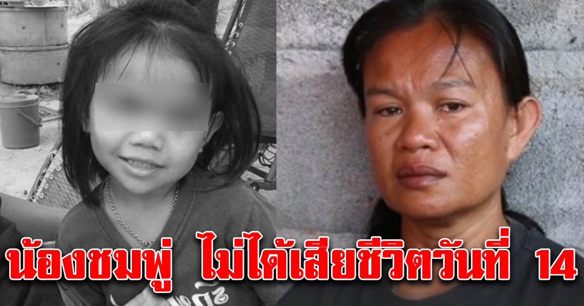 สงสารจับใจ น้องชมพู่ไม่ได้เสียชีวิตวันที่ 14