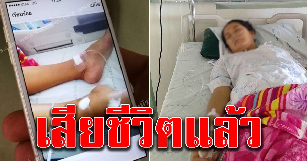 เสียชีวิตแล้ว หญิงวัย 51 ปี ที่ ถูกแมงมุมพิษกัด