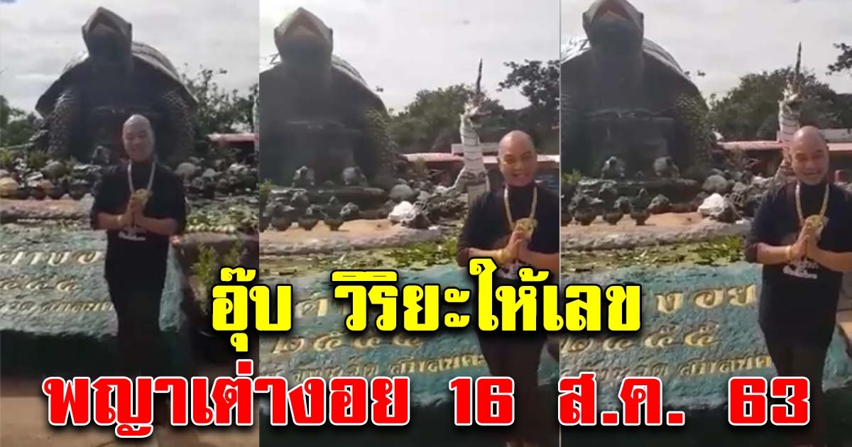 อุ๊บ วิริยะ บอกเลข