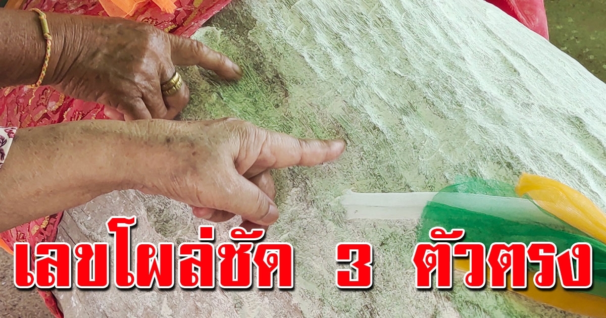 ตะเคียน 2 พี่น้อง