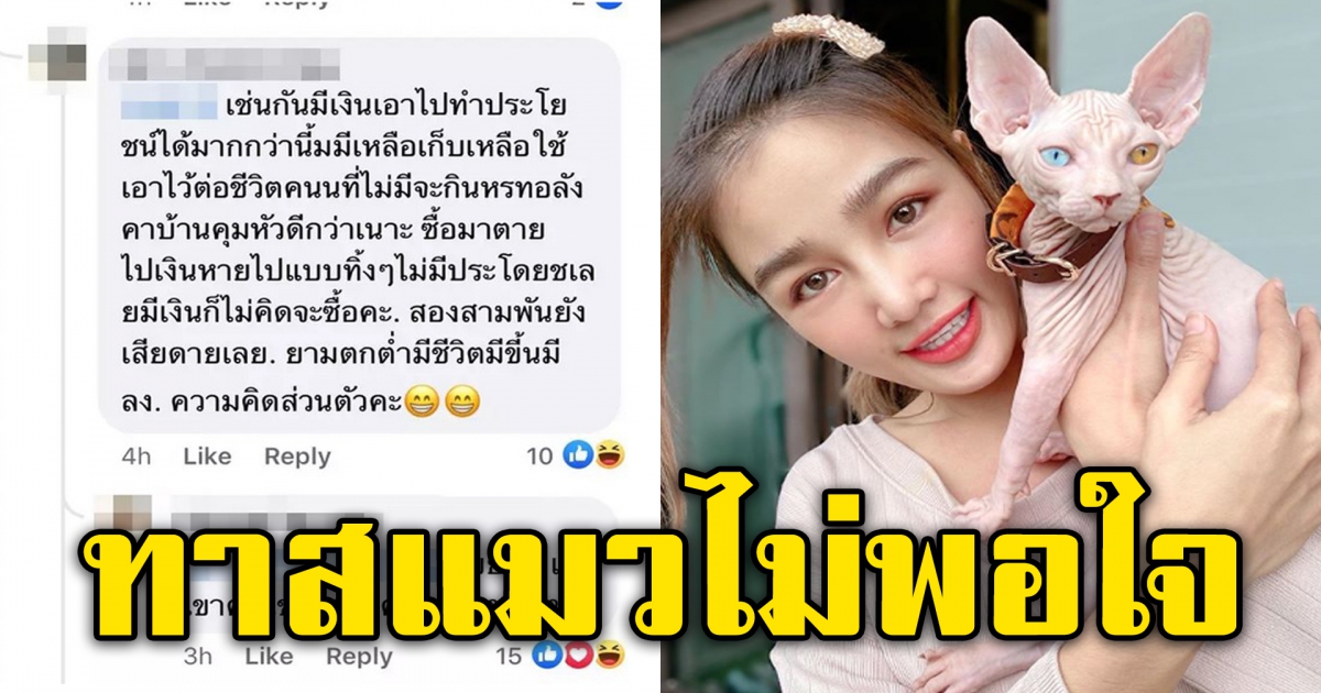กระแต เดือดสุด หลังแฟนคลับเม้นต์ เลี้ยงแมวไร้ประโยชน์ต่อชีวิต