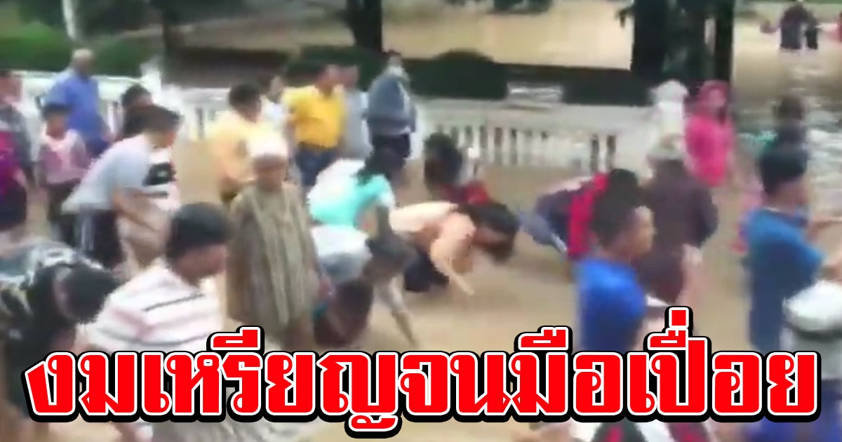 น้ำท่วมไม่เป็นอุปสรรค ชาวบ้านปักธงชัย ลุยน้ำแห่นาครอบโบสถ์ งมหาเหรียญโปรยทานอย่างสนุกสนาน